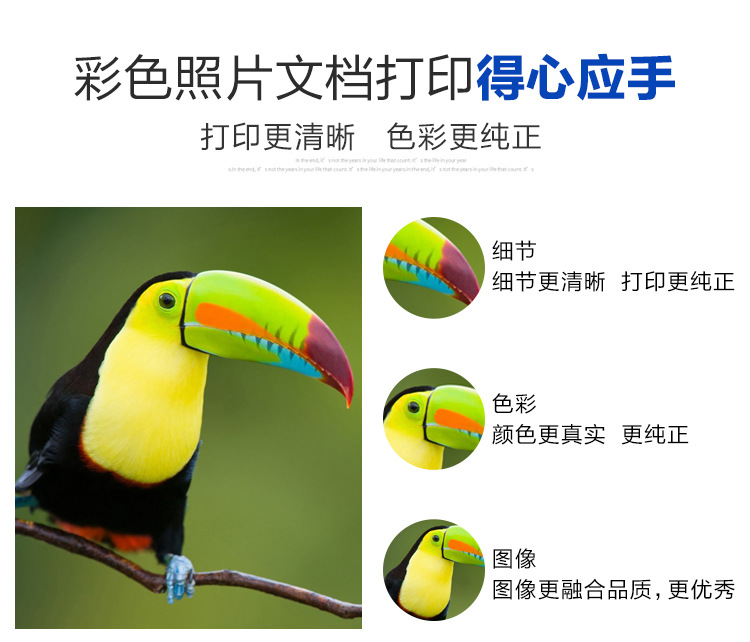 详情-6