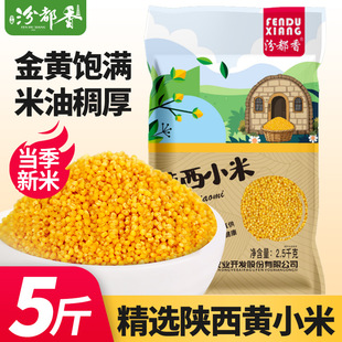 5��������SС���r���Bθ��Ŵ����������s�Z��������500g�ڶ���