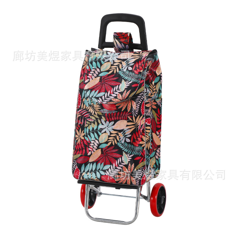 Carrito de compras plegable portátil para personas mayores para comprar verduras para el hogar pequeño carrito de varilla de tracción carro pequeño remolque