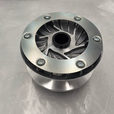Qianjiang 1000 drive Avtomatik sürtünməli mufta