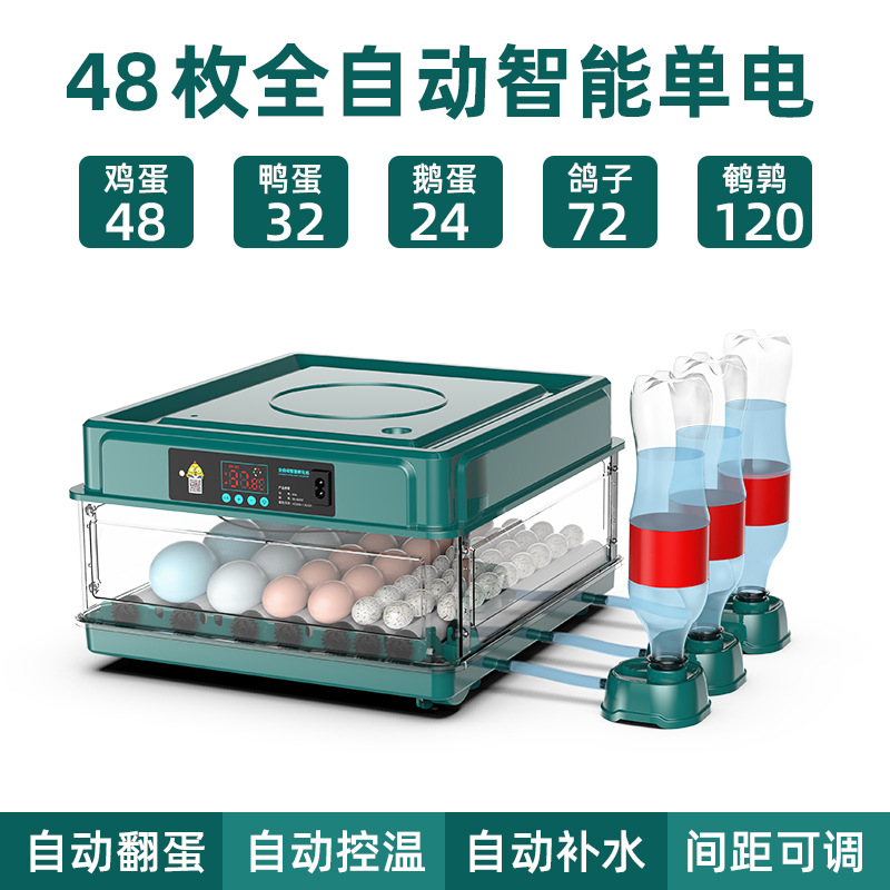 【Fábrica transfronteriza】Suministro adecuado, venta directa, incubadora de huevos de gallina doméstica pequeña totalmente automática, caja de incubación, incubadora. image 34