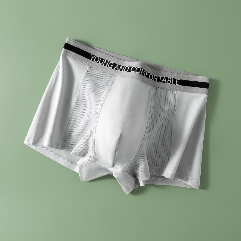 Algodón modal ropa interior de los hombres verano malla delgada transpirable Boxer shorts jóvenes Boxer shorts ropa interior