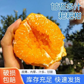 柑桔;牛肉零食;其他水果