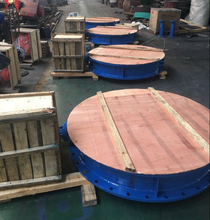 D341W-1C DN50 涡轮法兰式蝶阀铸钢通风式 浙江南一阀门