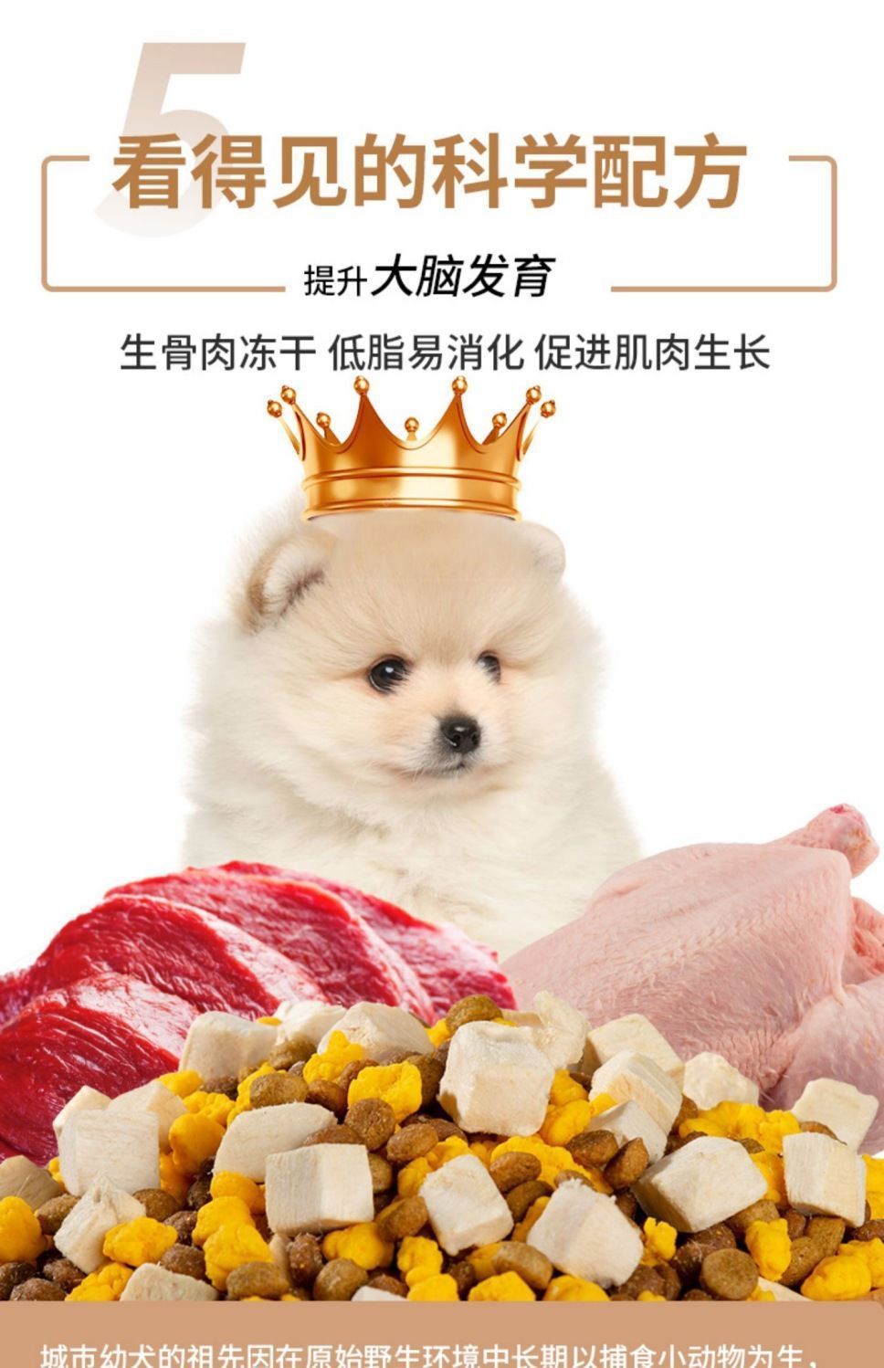 8d2febf8-50b0-497a-b818-46d0c62f166d.jpe