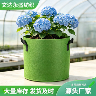 �o�����Nֲ���Ӻ���ֲ��ֲ����I�B����ֲ�����������ë�ַNֲ��
