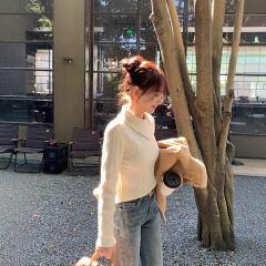 切糕自制小个子秋冬上衣女内搭针织杏色翻领显瘦百搭通勤毛衣