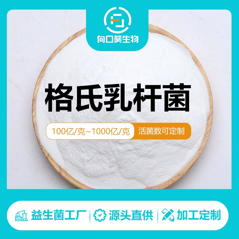 Lactobacillus grighii жизнеспособный лиофилизированный порошок молочной кислоты источник производителя в наличии прямые поставки