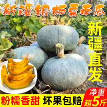 新疆银栗南瓜金丝栗南瓜沙漠南瓜老南瓜银板栗南瓜粉糯香甜包粉甜