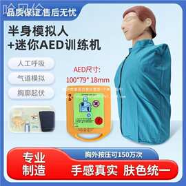 消防CP急救假人训练除颤训练模型R模拟AED厂家心肺复苏模拟人
