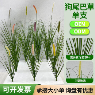 �Gֲ��Ȕ�݆�֧��β���JȔֲ��쾰ͥԺ���Sֱ���F؛ֱ�l����