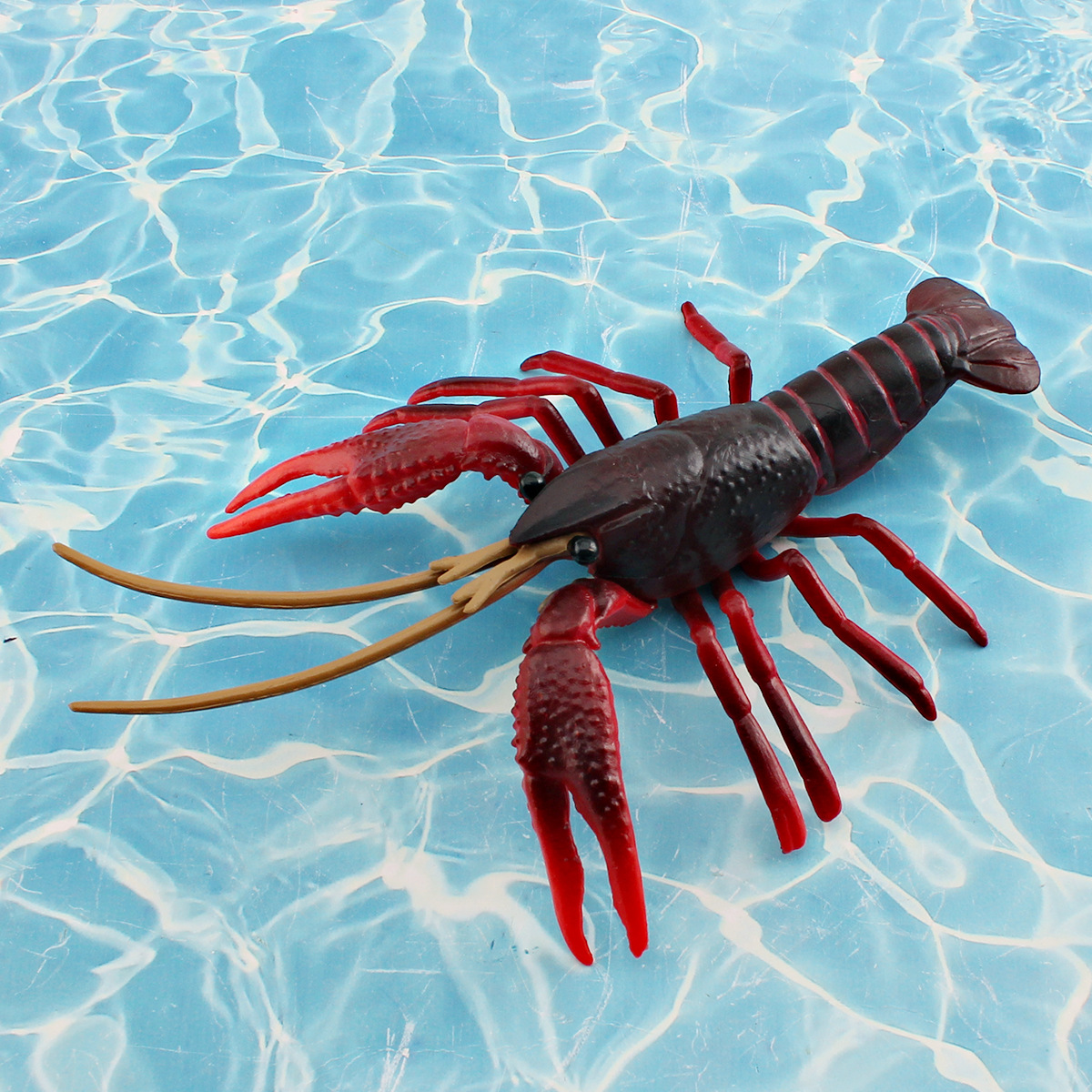 Cross-border simulation wild marine life lobster model children's science education cognitive crayfish red claw shrimp decorative toy