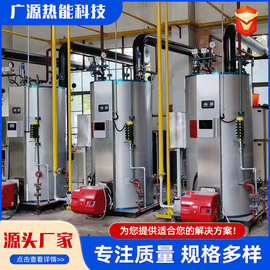 立式燃油燃气锅炉 工业用大型供暖热水锅炉洗浴桑拿燃气蒸汽锅炉