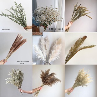 �ɹ������ɻ��Ĕz���� diy���Ļ�ˇ�Ҿӿ͏d�b�Ʒ�[�O�}�Q���Y��