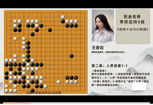 Ten Rules of Go and New Ai Solutions 36 Lectures Professional Player Wang Xiangru Takes You to Level 5 Video Default Items Others