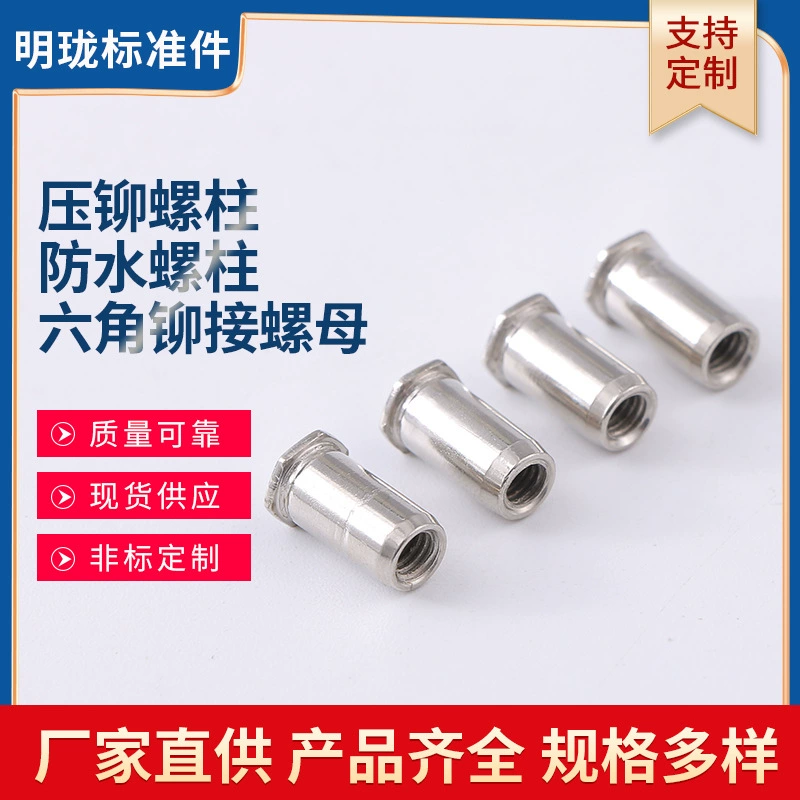 Мозаика соединения шкафа заклепывая стержень коробка шкафа гайка заклепки шестиугольника стержень заклепки нержавеющей стали водоустойчивый