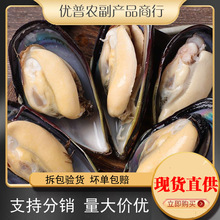 �r���ش����ؐ���l��������r��������Oؐ���r�����������l