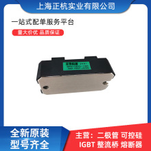 6RI100G-160   DF100AA160^pOIGBTģK ă