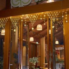 国境を越えた新しい屋外防水 LED クリスマスライト三角形漁網アイスストリップカーテンライト雰囲気星空ライト