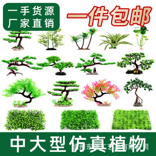 �~�׼�ɽ�b[���辰�쾰����ֲ����ˮʯ��ˮʯ΢���^�쾰С�[��