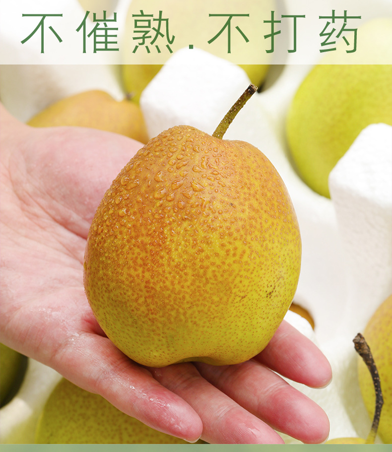 çº¢é&b