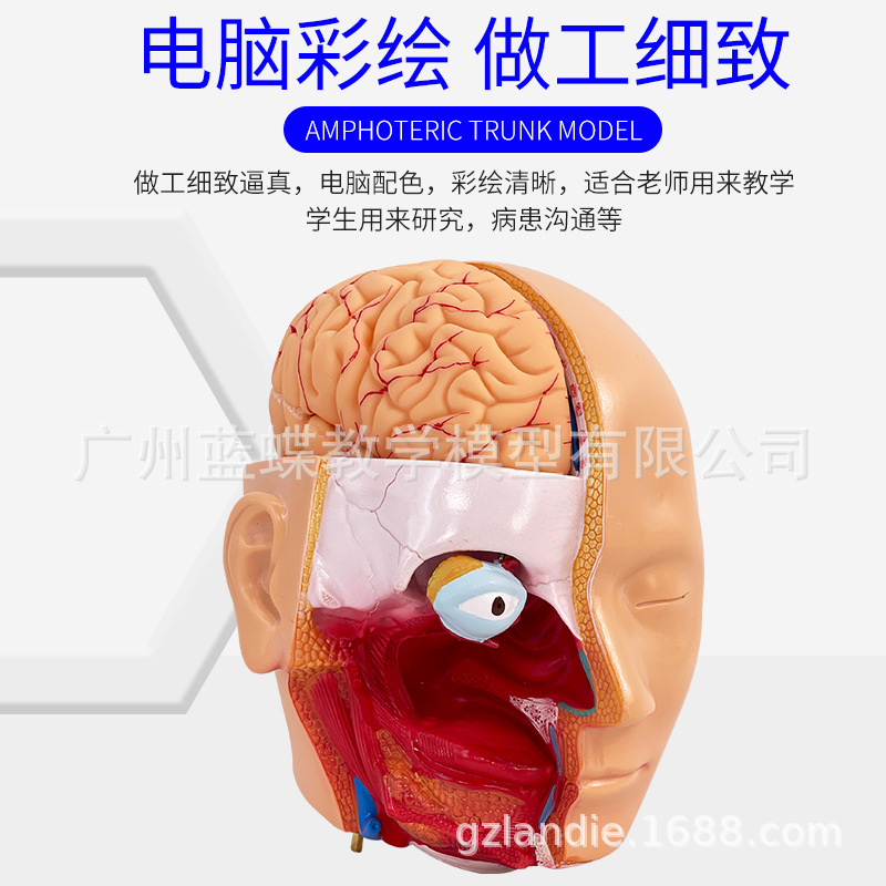 85CM��������ģ�Ϳɲ��Ϊ40��  �����������ٽṹ��֯����ģ��