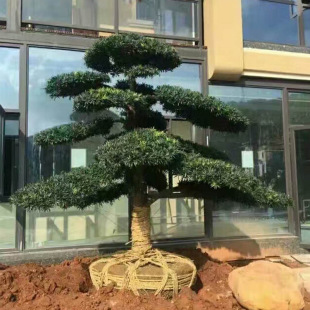 ����ֱ�NͥԺ���^�G���������_�h�� ���΃��� �����@�־G����