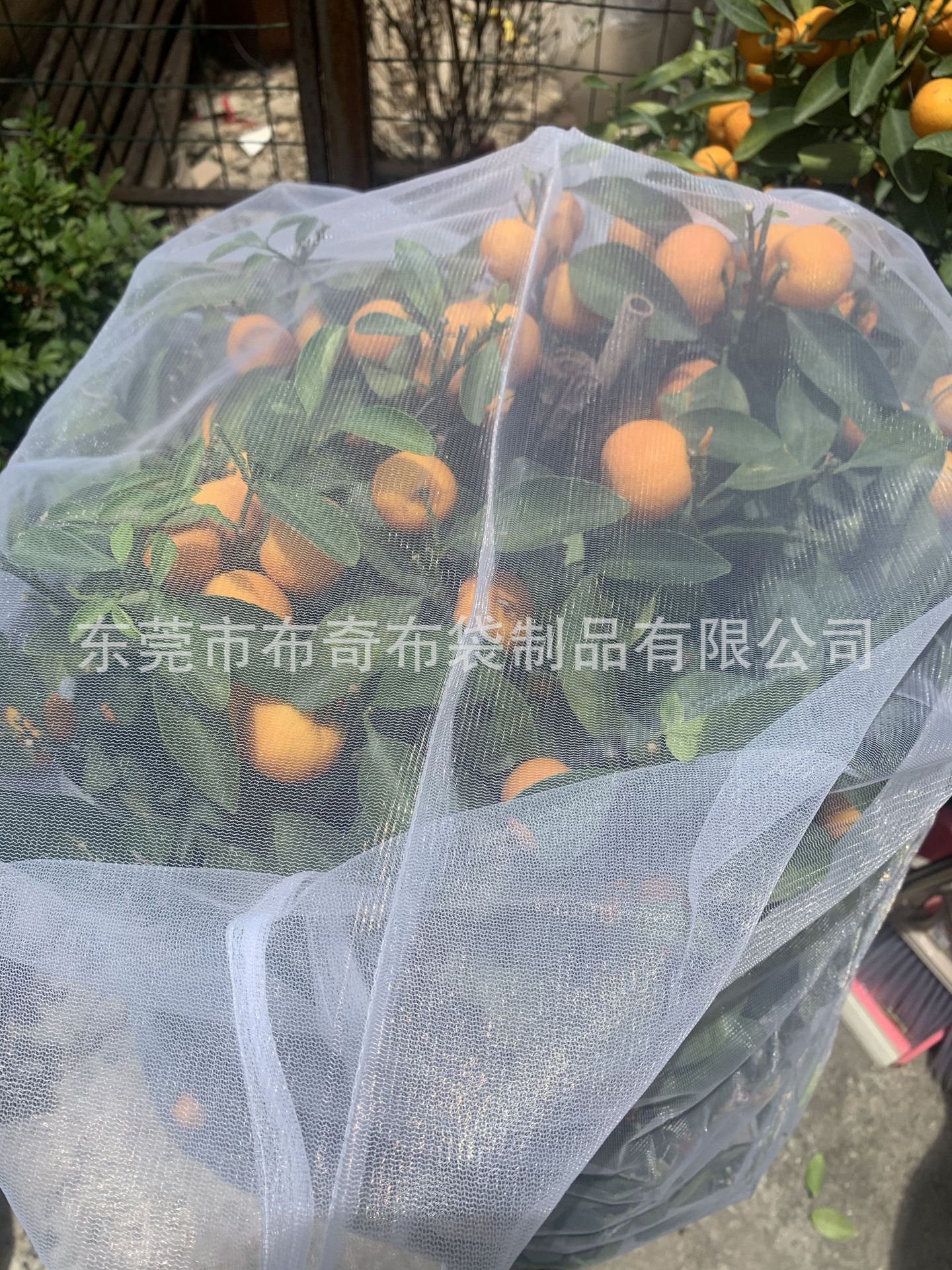 ff96d344216d95093f7ee6c8250eb1