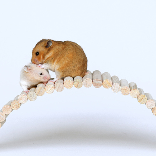 Hamster landscape long ladder fence swing soft walkway climbing suspended arch log golden hamster isolation toy versatile platform