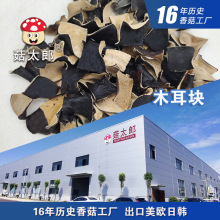 去根剪根无根干切木耳块木耳丁木耳片2*2cm