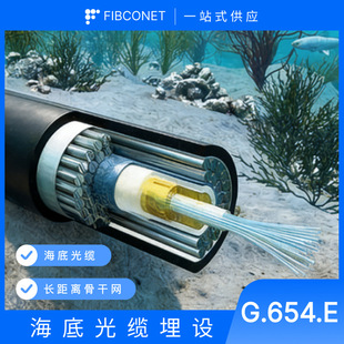 Դ�^���S400G �L���x��ݔ���w���羳����G.654.??E ���͓p�Ĺ�