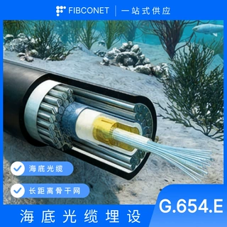 源头工厂400G长距离传输跨境出口G.654.​​E 超低损耗光光纤线