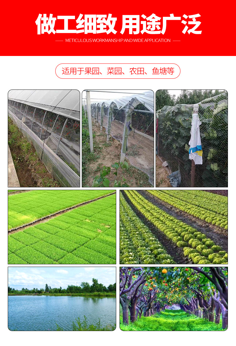 果园防鸟网_05