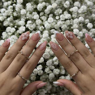 �羳����ϣ������������w�������׽���c�Y������������L���Ƭ