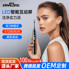 クロスボーダー輸出西マロンソニック電動歯ブラシ家庭用柔らかい毛ガム保護男性と女性の大人の自動歯ブラシ旅行
