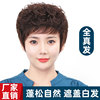 Wig Reality Headgear lady fluffy natural Short hair Headgear Middle and old age mom fashion Wigs wholesale