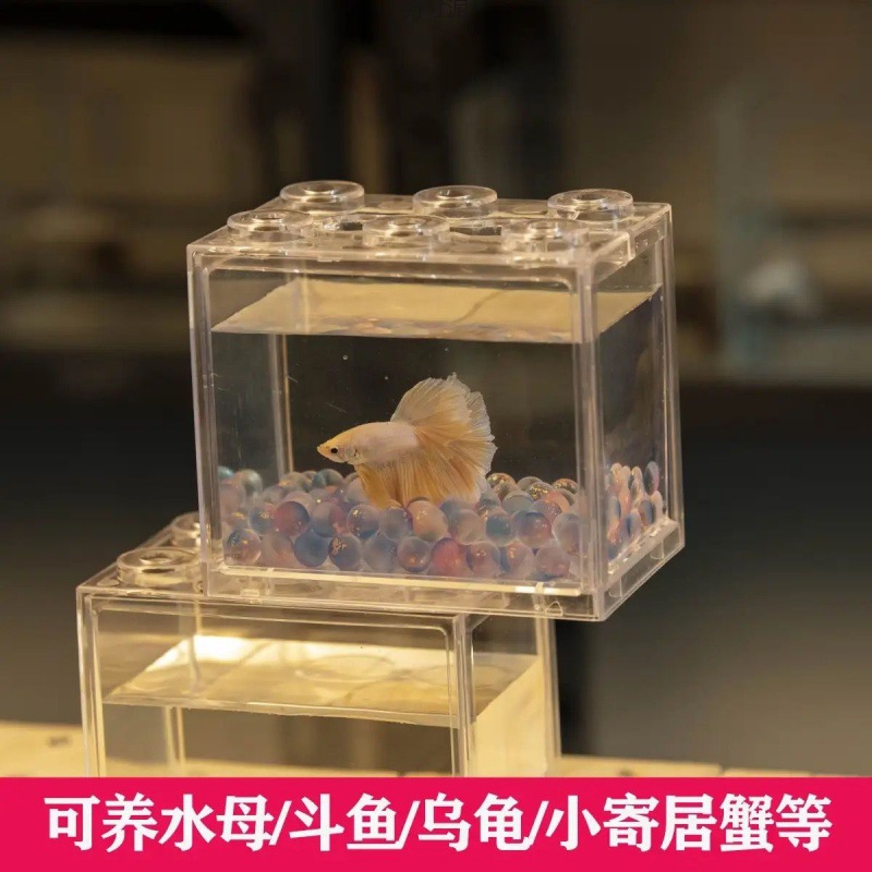 Constructor, aquarium, seaweed, wholesale