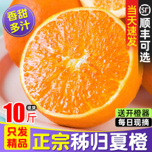 ���w�ĳ�Ě�����r���ӽ���ե֭����������Ⱥ���ˮ�����l���l