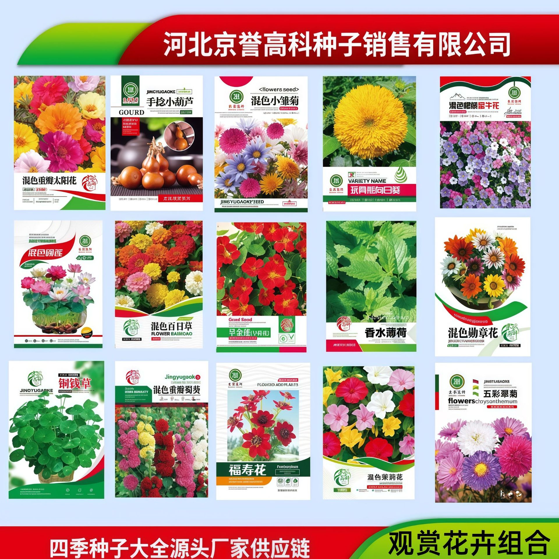 正品彩色原装花卉组合种子混色重瓣太阳花蜀葵除虫菊百日草花种子 餐饮生鲜厂家批发实拍图