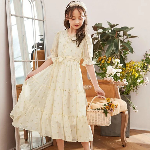 Princess Dress for Girls Summer Children's Skirts 2024 New Fashion Girl Long Skirt Summer Outfit for Older Children