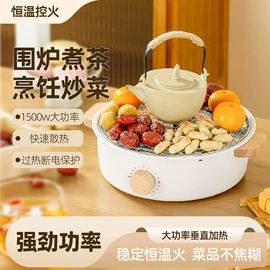 电烧烤炉;烧烤炉;电热炉