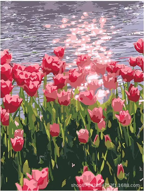 Pintura al óleo digital bricolaje al por mayor hecho a mano relleno de color curación descompresión popular para niños flor nieve montaña decorativa pintura de paisaje