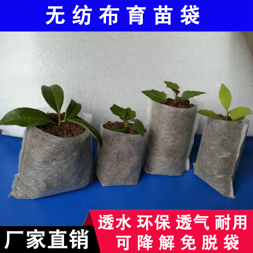 8*10厂家直销可降解无纺布育苗袋营养袋 以100个一扎量大包邮