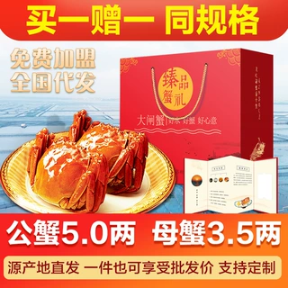 团购批发螃蟹鲜活大闸蟹鲜活螃蟹苏州精品大闸蟹全母阳养殖地直发