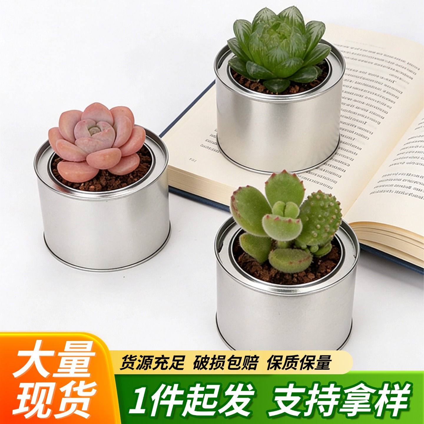 Spot Iron Jar Round Succulent Planting Flower Pot Metal Storage Lidless Moisture-Proof Tinplate Jar Wholesale