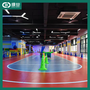 Non-Slip Shock Absorption Mat for Gym Jumping Area Personalized Pattern Printing Rubber Roll