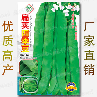 ���v�ļ����N�� �s20�� ��ܿ���N�� ܿ�� �o�� ���v �G�ܶ� �ⶹ