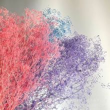 ����ǧ�f��ϼ�����l���f�ǻ���С�M���ǶY�в�������Ʒ��ˇƷ�仨