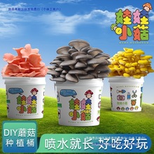 Ģ�����ԷNֲͰ�bȤζ�̨��ͯƽ���Bֳʳ�þ������Ӱ���ͥ��ƽ��