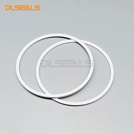 机械密封件;密封垫圈;其他密封件